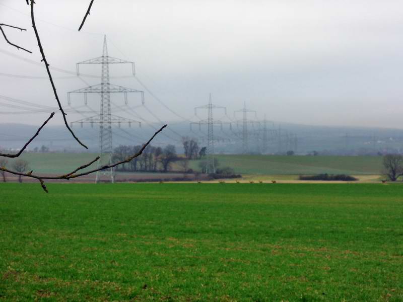 DSCN0093.JPG