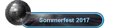 Sommerfest 2017